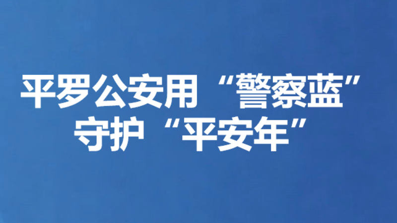 平罗公安用“警察蓝”守护“平安年”