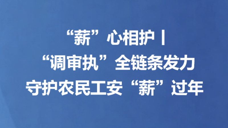 “薪”心相护丨“调审执”全链条发力 守护农民工安“薪”过年