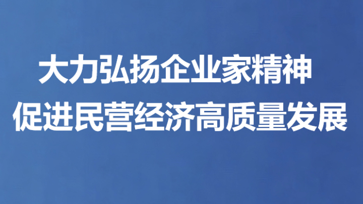 大力弘扬企业家精神 促进民营经济高质量发展