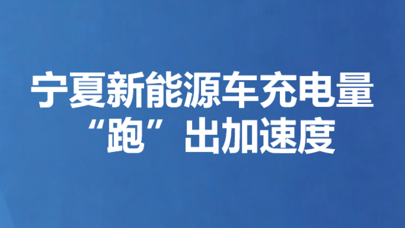 宁夏新能源车充电量“跑”出加速度