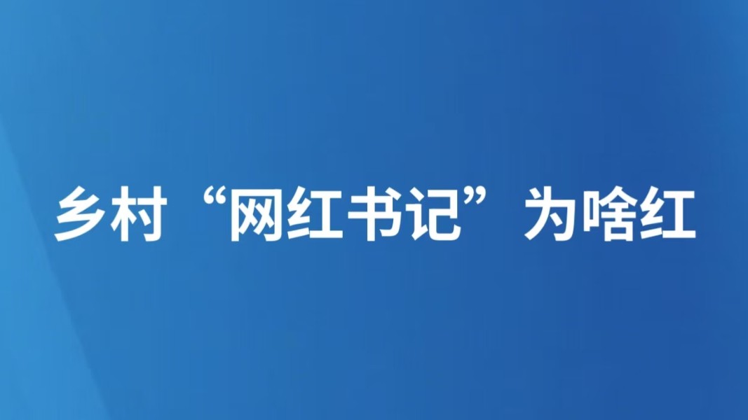 乡村“网红书记”为啥红