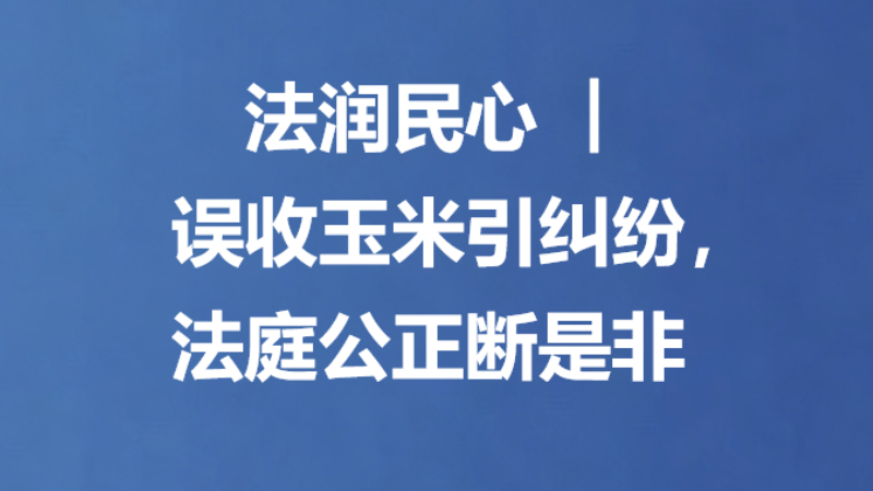法润民心 | 误收玉米引纠纷，法庭公正断是非