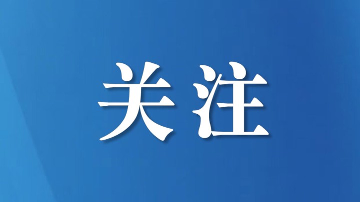《人间灯火》：照见三亚的人间真情