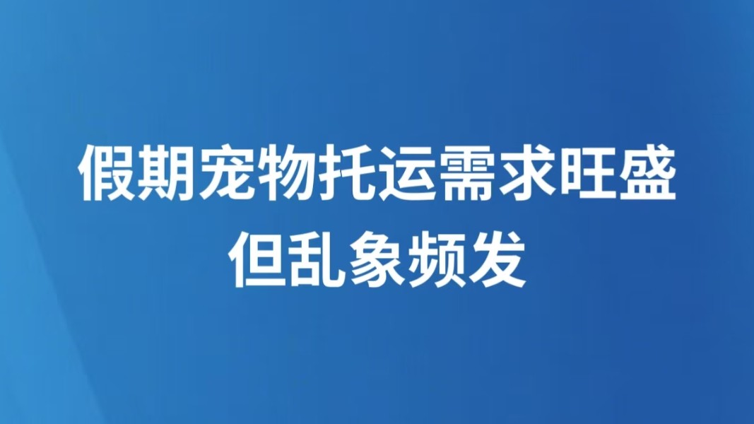 假期宠物托运需求旺盛但乱象频发