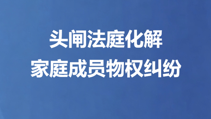 头闸法庭化解 家庭成员物权纠纷