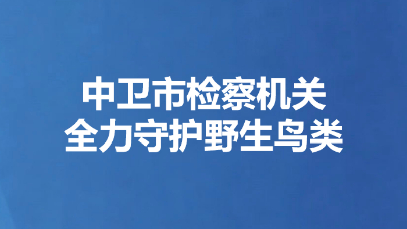 中卫市检察机关全力守护野生鸟类