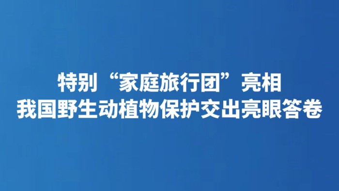 特别“家庭旅行团”亮相 我国野生动植物保护交出亮眼答卷