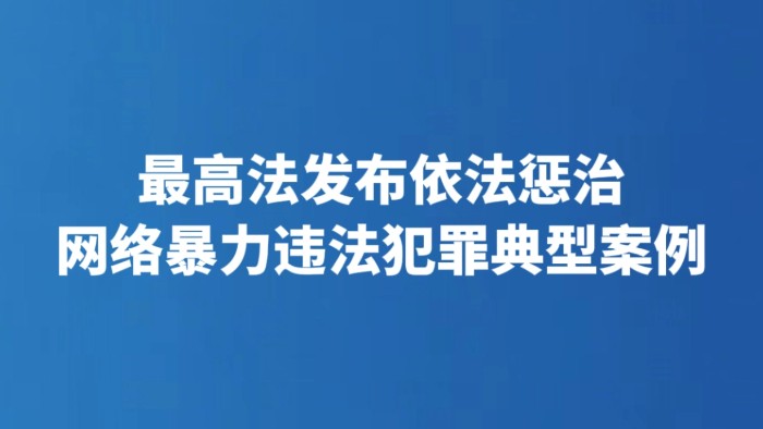 最高法发布依法惩治网络暴力违法犯罪典型案例