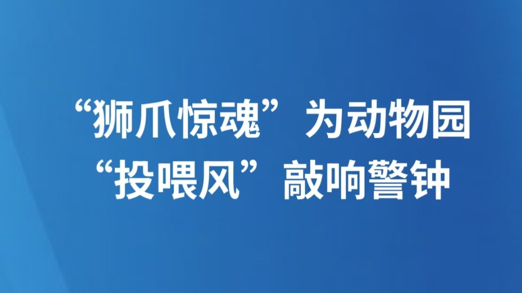 “狮爪惊魂”为动物园“投喂风”敲响警钟