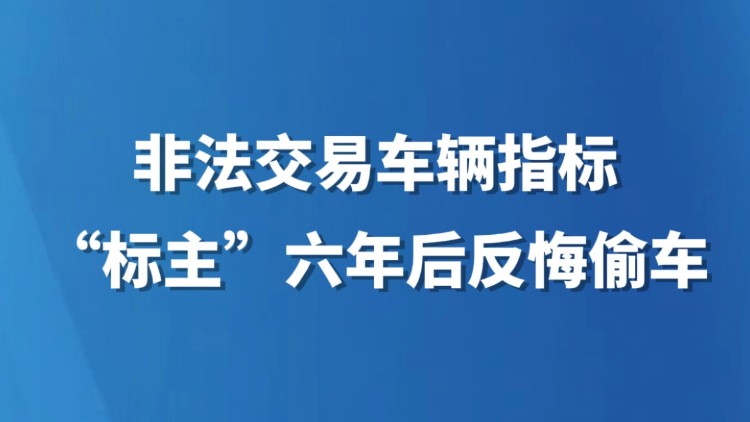 非法交易车辆指标，“标主”六年后反悔偷车