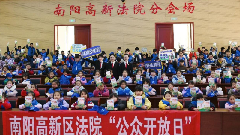 河南省南阳市高新区法院组织开展公众开放日活动