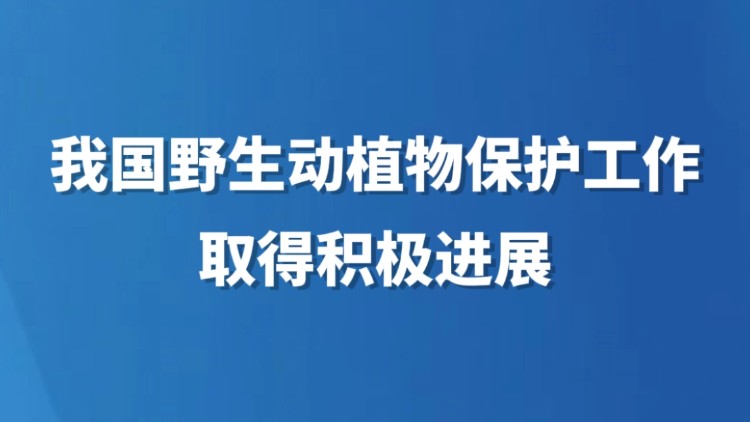 我国野生动植物保护工作取得积极进展