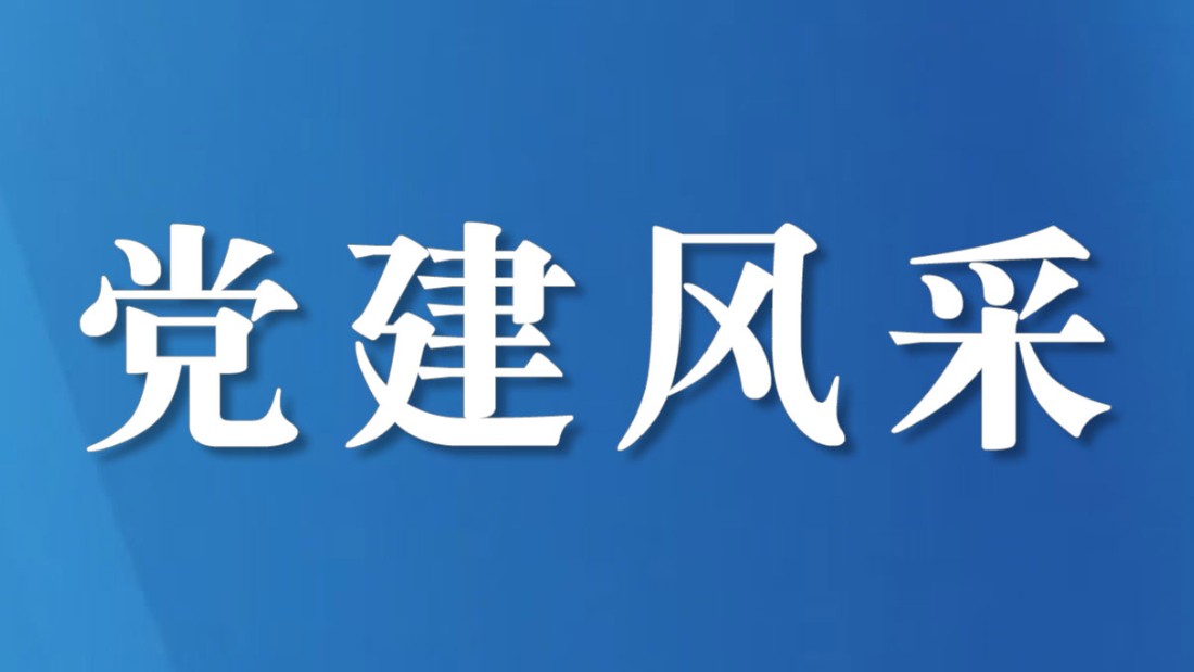 以初心赴使命 以实干兴乡村——四川省盐亭县驻村工作综述