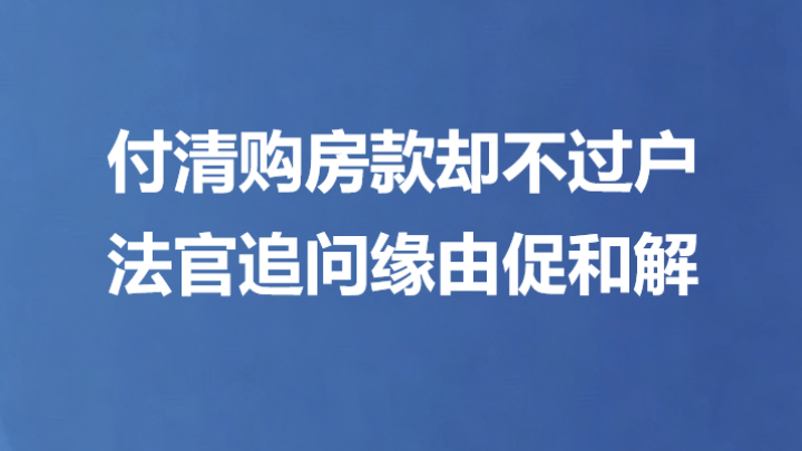付清购房款却不过户 法官追问缘由促和解