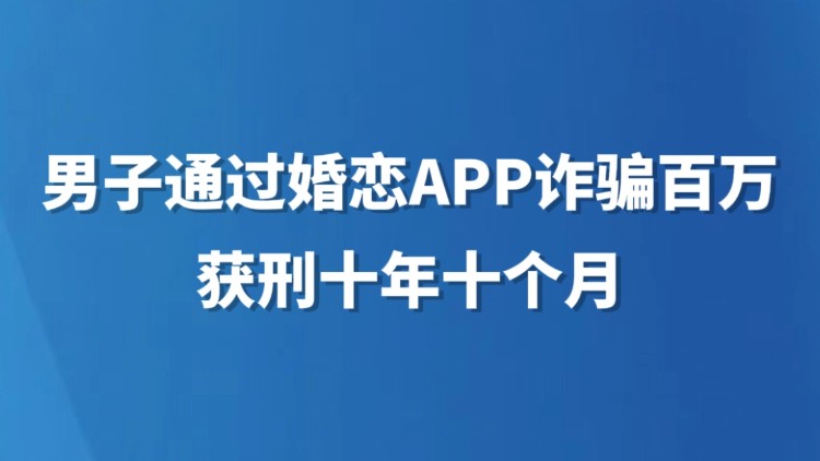 男子通过婚恋App诈骗百万获刑十年十个月