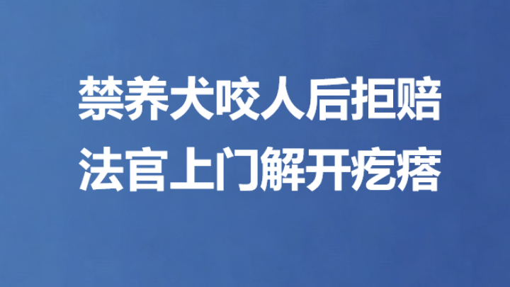 禁养犬咬人后拒赔 法官上门解开疙瘩