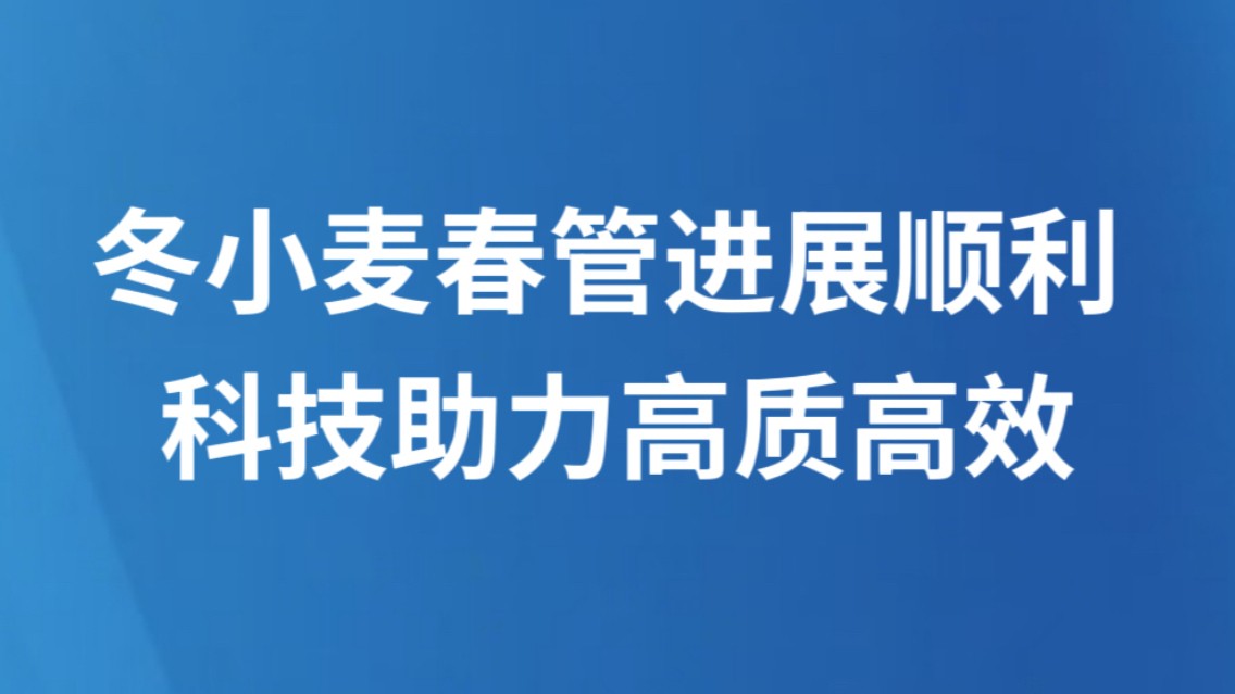 冬小麦春管进展顺利 科技助力高质高效