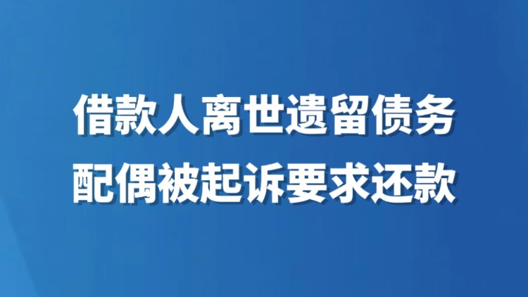 借款人离世遗留债务 配偶被起诉要求还款