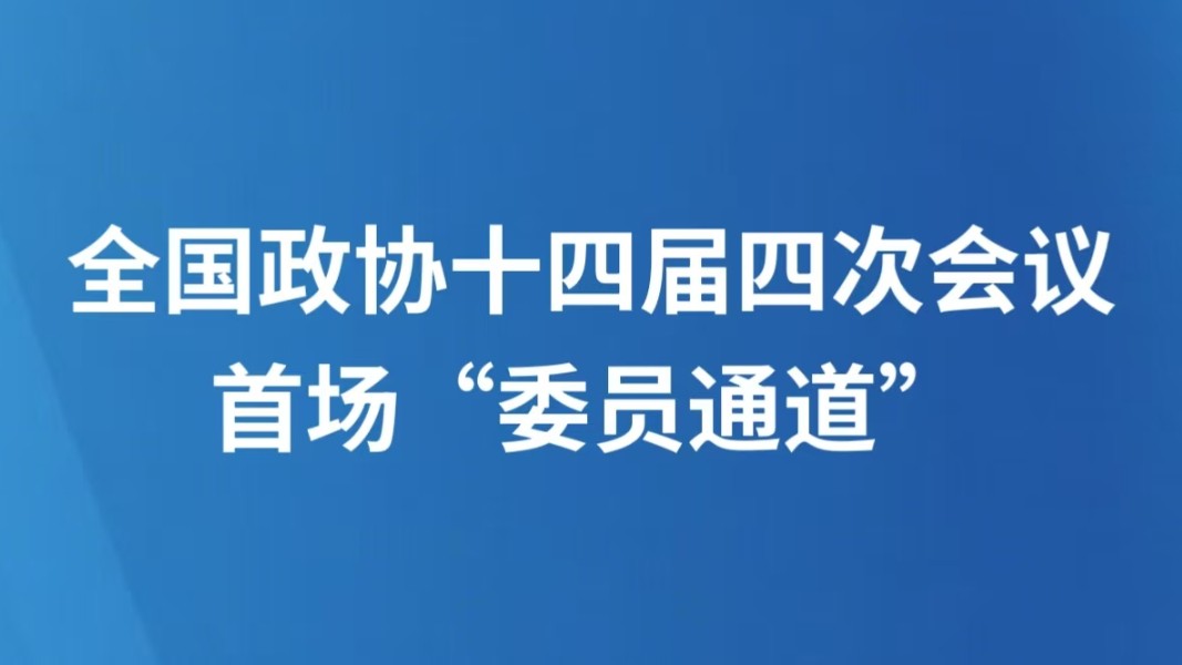 全国政协十四届四次会议首场“委员通道”