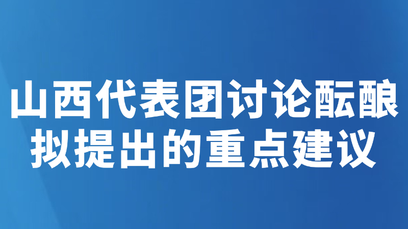 山西代表团讨论酝酿拟提出的重点建议