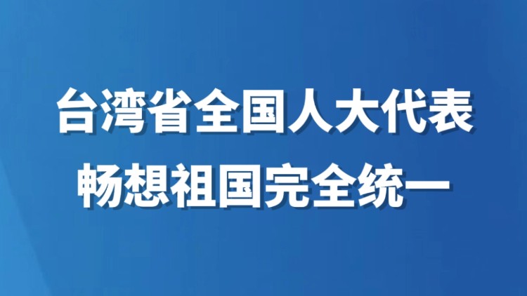 台湾省全国人大代表畅想祖国完全统一