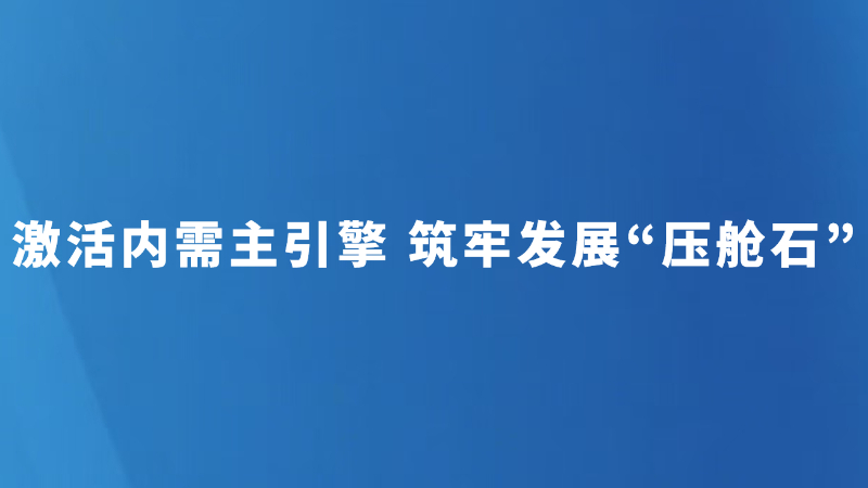 激活内需主引擎 筑牢发展“压舱石”