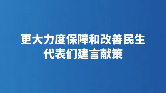 更大力度保障和改善民生 代表们建言献策