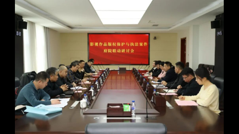 吉林长春新区法院：齐聚合力，共建版权保护新生态