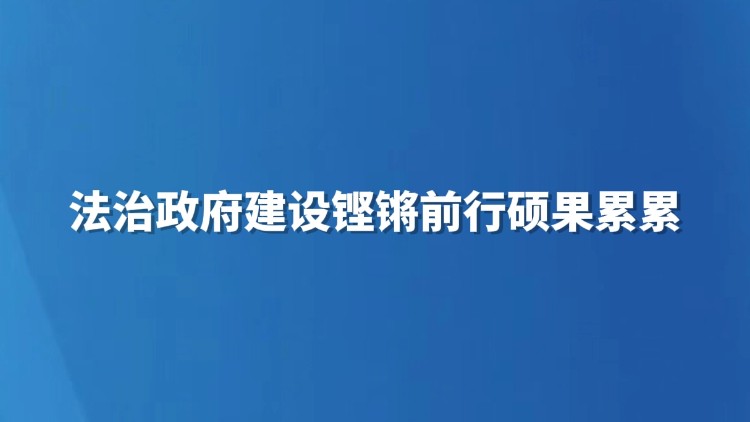 法治政府建设铿锵前行硕果累累