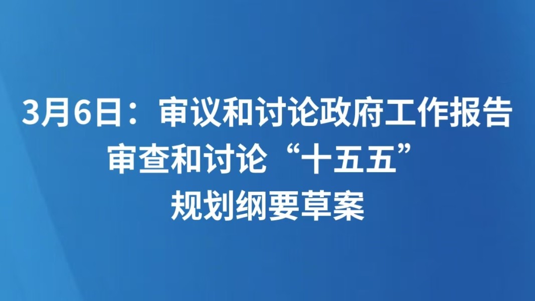 3月6日：审议和讨论政府工作报告 审查和讨论“十五五”规划纲要草案
