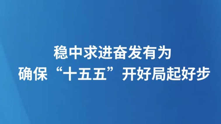 稳中求进奋发有为 确保“十五五”开好局起好步