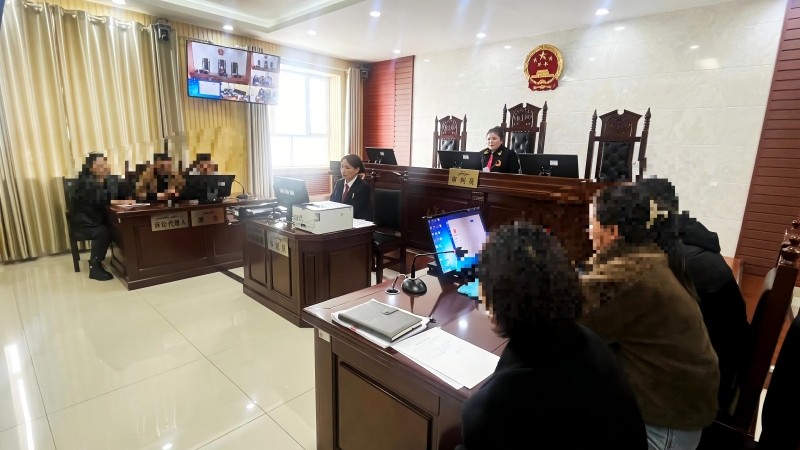 新疆昭苏县人民法院：孩子叔叔可以申请撤销生母的法定监护权吗？