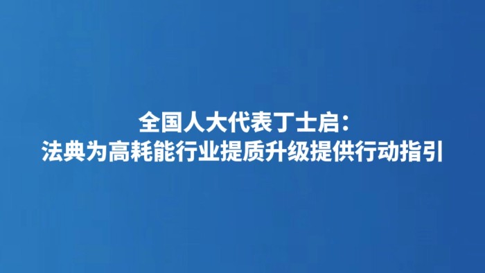 全国人大代表丁士启：法典为高耗能行业提质升级提供行动指引