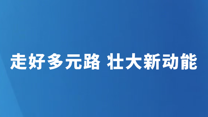 走好多元路 壮大新动能