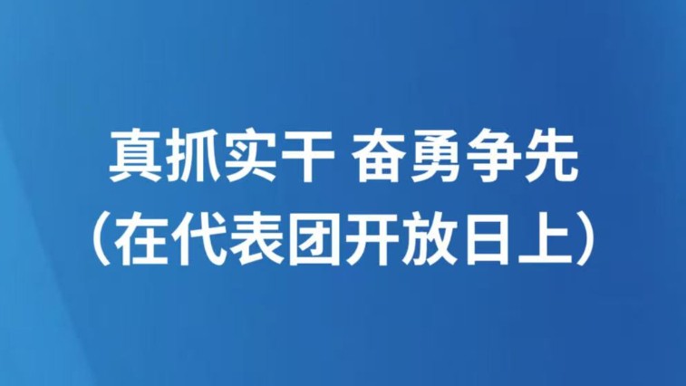 真抓实干 奋勇争先（在代表团开放日上）