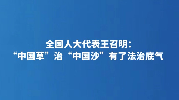 全国人大代表王召明：“中国草”治“中国沙”有了法治底气