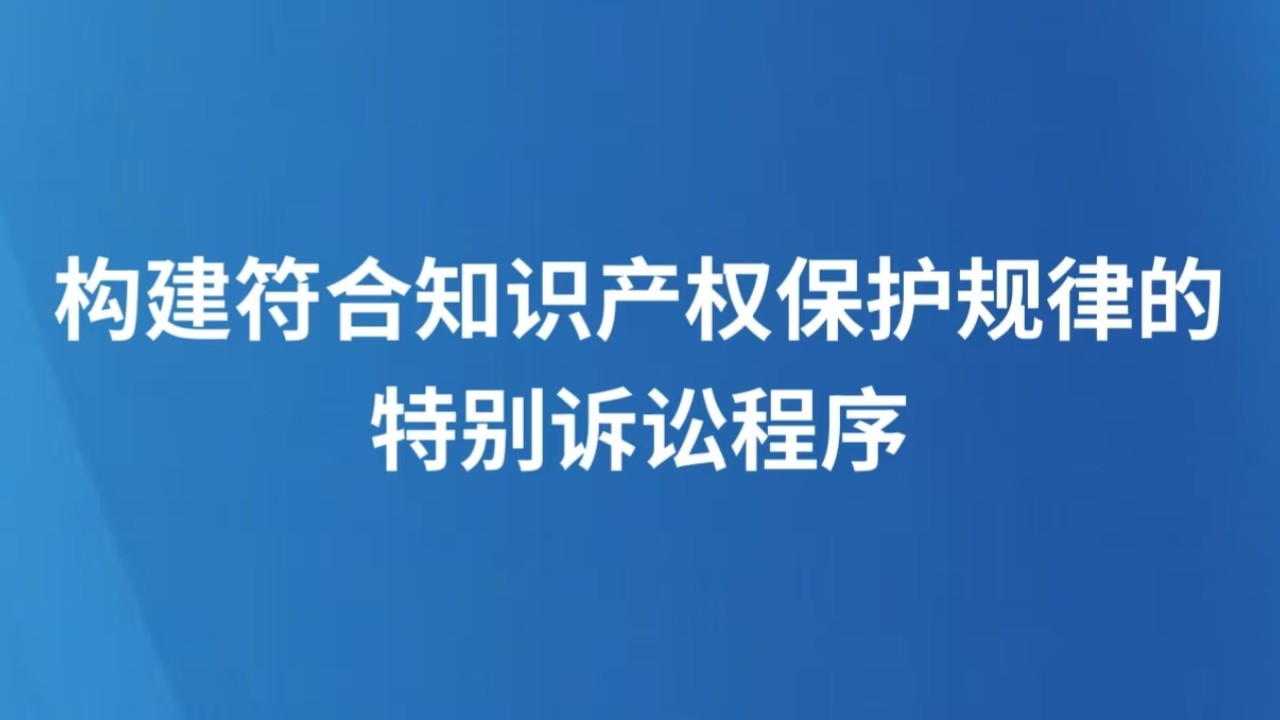 构建符合知识产权保护规律的特别诉讼程序