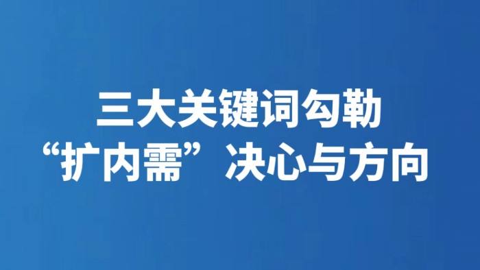 三大关键词勾勒“扩内需”决心与方向