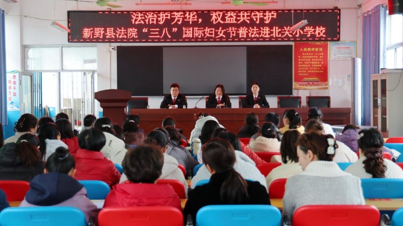 法治春风进校园 守护芳华绽光彩——河南省南阳市新野县法院开展妇女权益保护普法活动