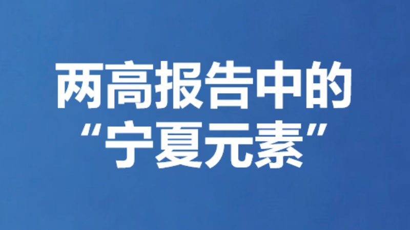 两高报告中的“宁夏元素”
