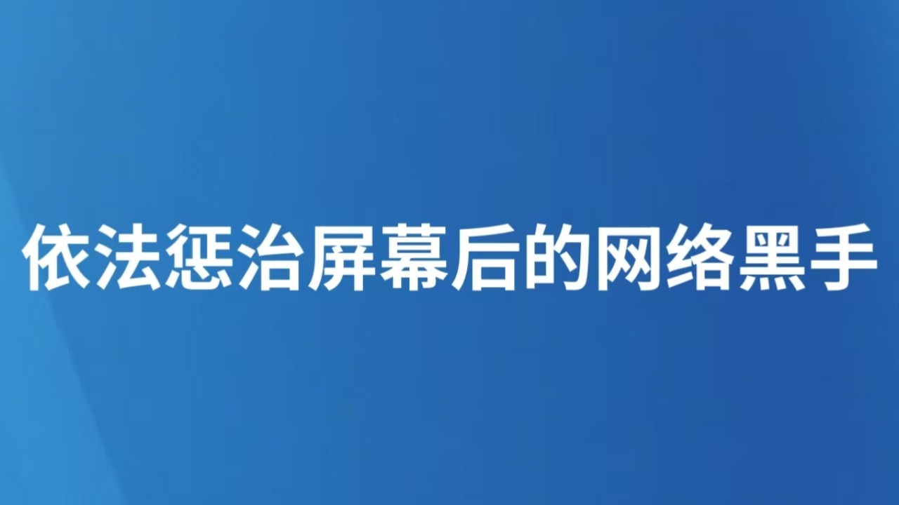 依法惩治屏幕后的网络黑手