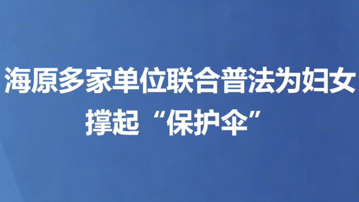 海原多家单位联合普法为妇女撑起“保护伞”