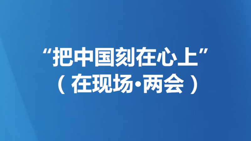 “把中国刻在心上”（在现场·两会）