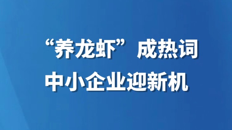 “养龙虾”成热词 中小企业迎新机