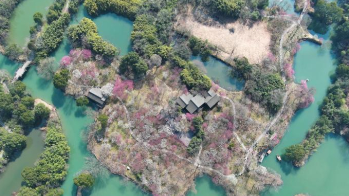 “典”亮美丽中国：全球首创，绿色低碳发展独立成编