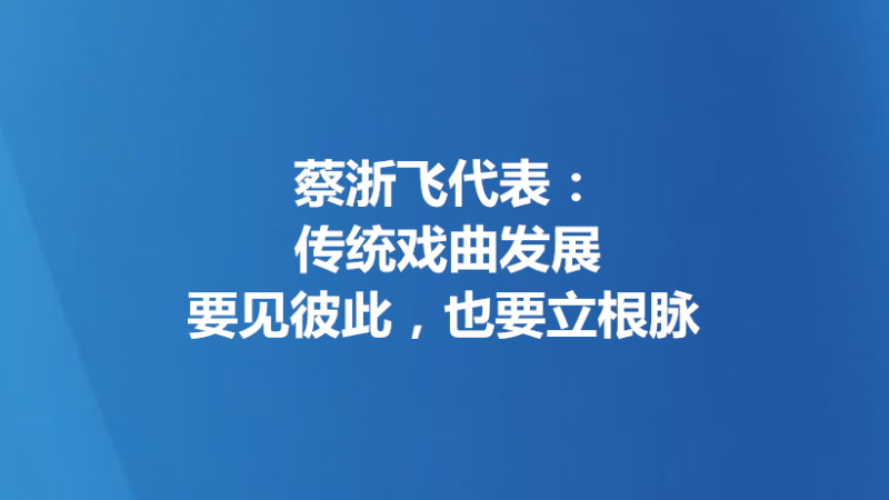蔡浙飞代表：传统戏曲发展要见彼此，也要立根脉