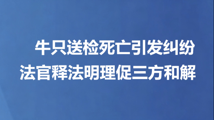 牛只送检死亡引发纠纷 法官释法明理促三方和解