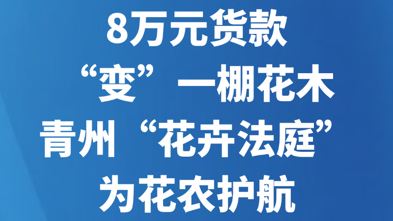 8万元货款“变”一棚花木，青州“花卉法庭”为花农护航