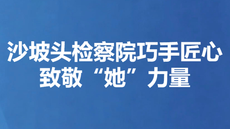 沙坡头检察院巧手匠心致敬“她”力量