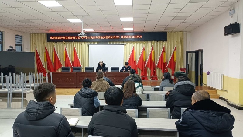 新疆昭苏县洪纳海镇：普法宣传护平安 治安新法入民心